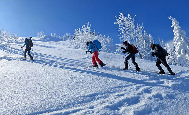 Dat geldt niet alleen voor sneeuwschoenwandelen: Samen op pad gaan is niet alleen leuker, maar ook veiliger! Vier sneeuwschoenwandelaars lopen in de zon een besneeuwde heuvel op.